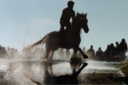 &copy;vandystadt.com-EQUITATION: PARCOURS COMPLET,27/03/2004,PHILIPPE MONTIGNY